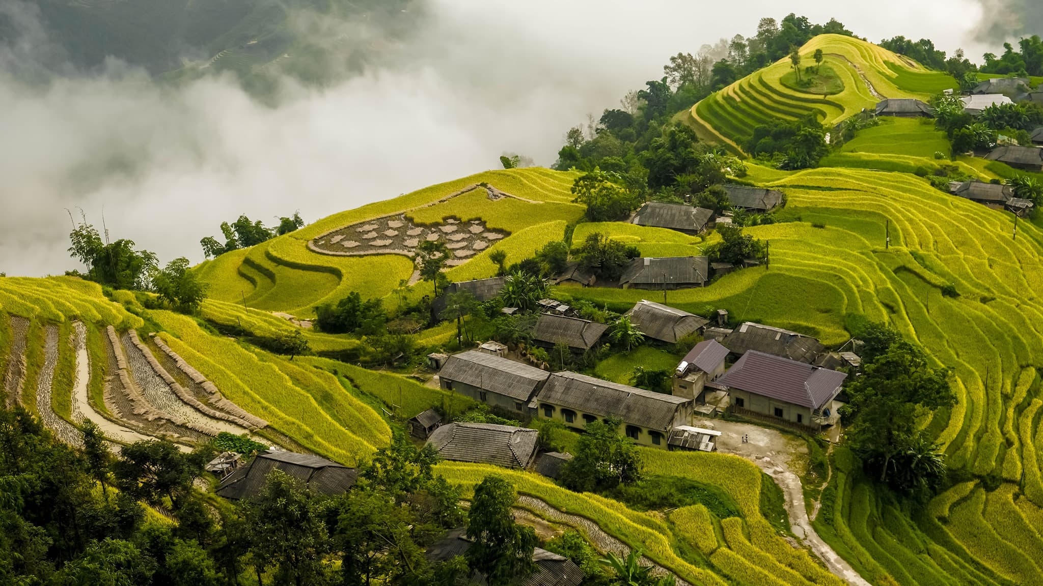 Capture the authentic charm of Vietnam’s natural scene